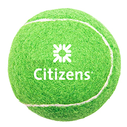 PET FETCH TOY TENNIS BALL